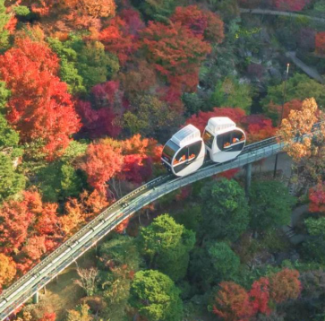 화담숲 예약 3분만에 성공하는 꿀팁