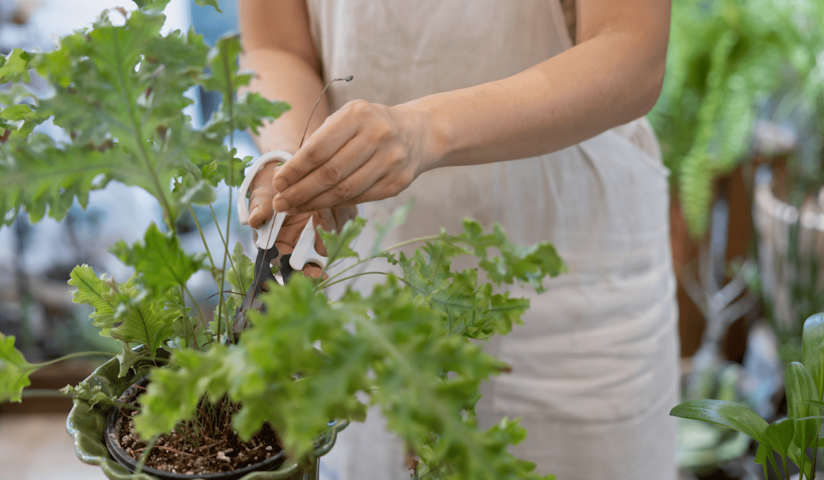 소상공인_폐업지원금_17