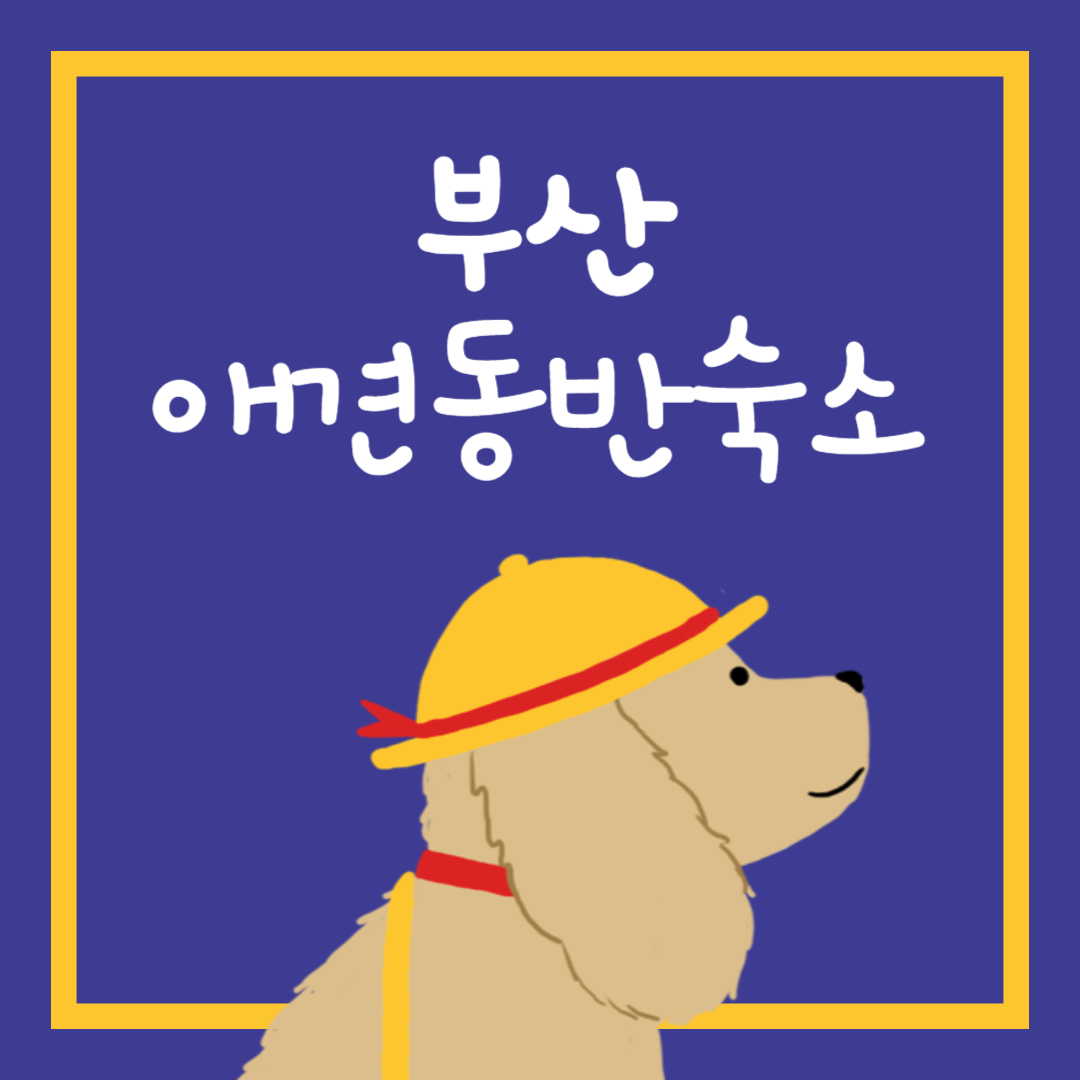 부산 애견동반 숙소