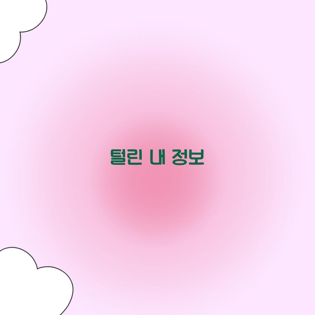 털린 내 정보