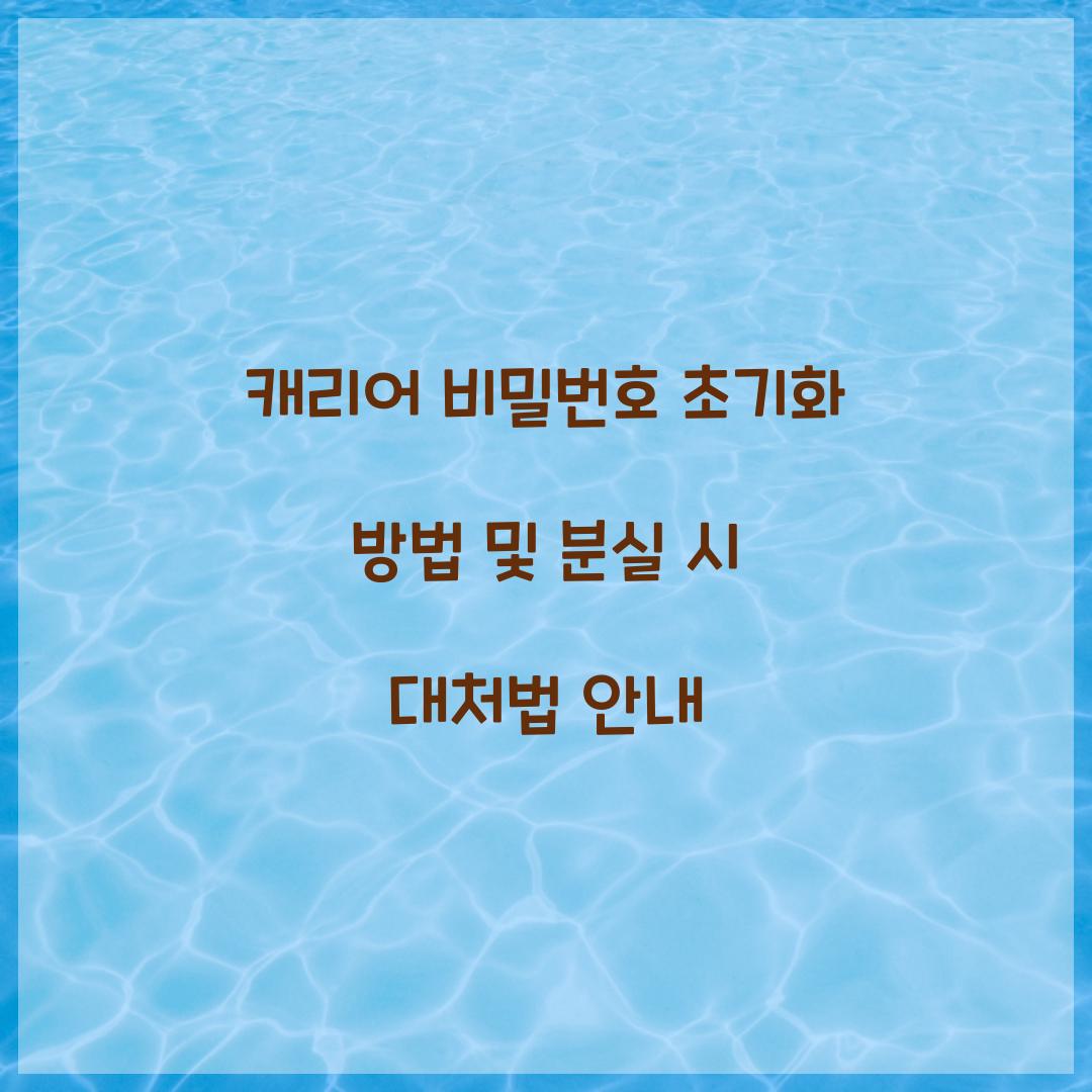 캐리어 비밀번호 초기화