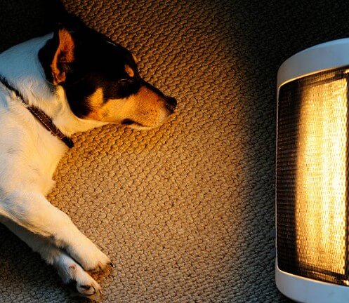 사랑온 난방비 지원금 신청