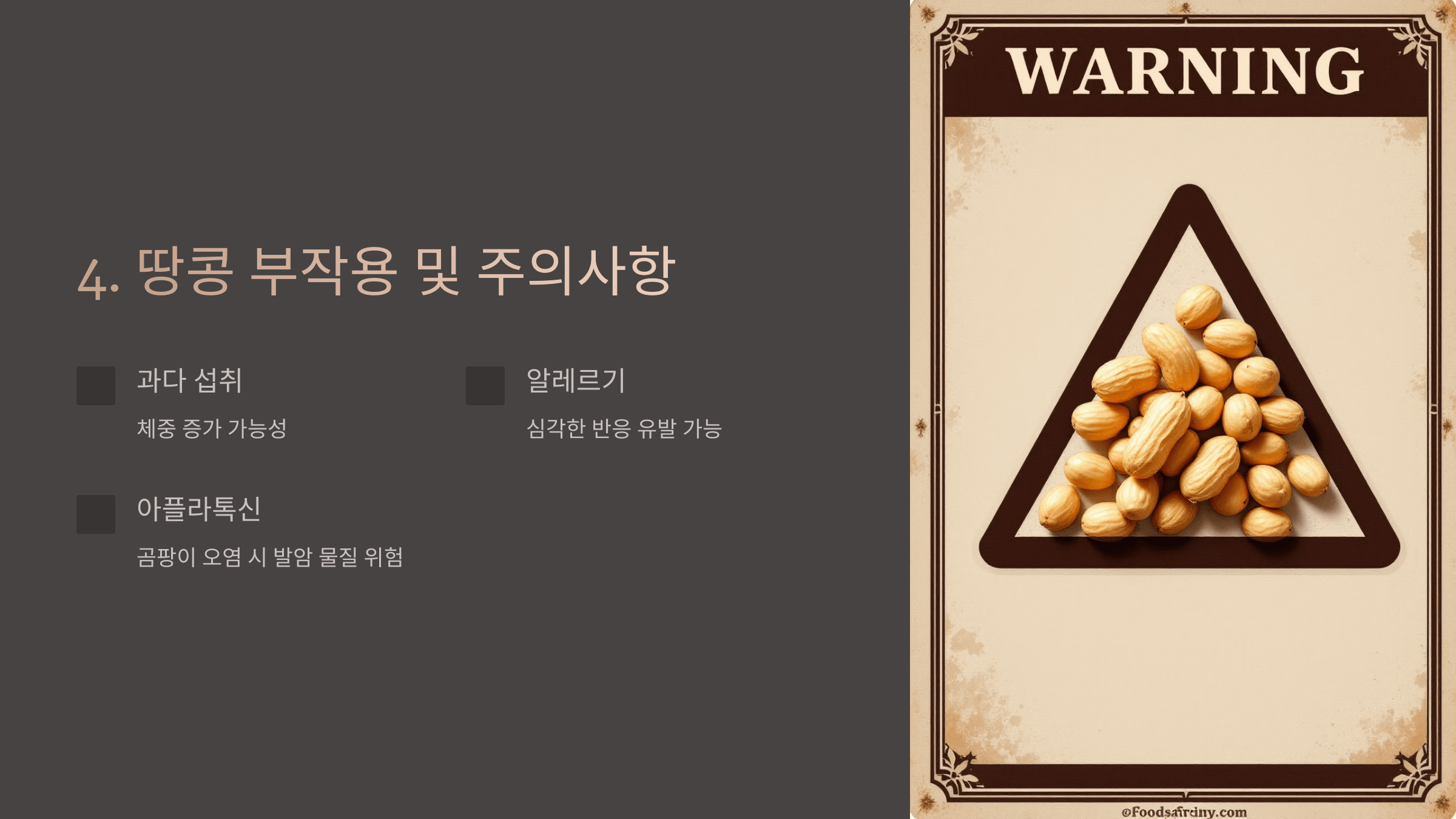 땅콩 사진입니다.