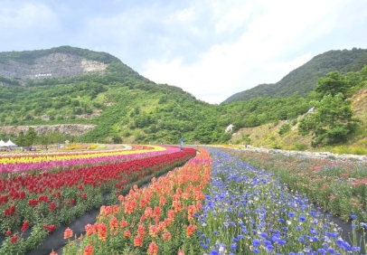 라벤더 정원