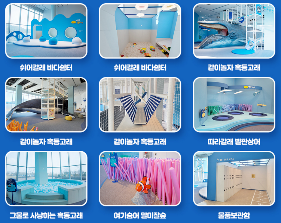 국립해양생물자원관-어린이-체험시설