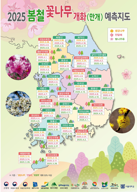 2025봄철봄꽃나무개화예측지도