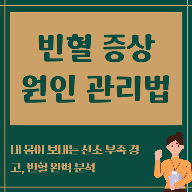 빈혈 증상 원인 관리법