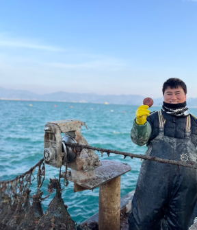 쪼이수산 가리비