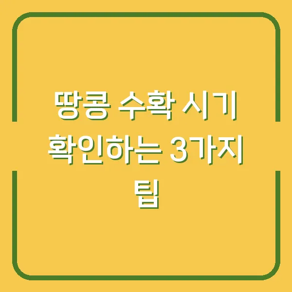 땅콩 수확 시기 확인하는 3가지 팁
