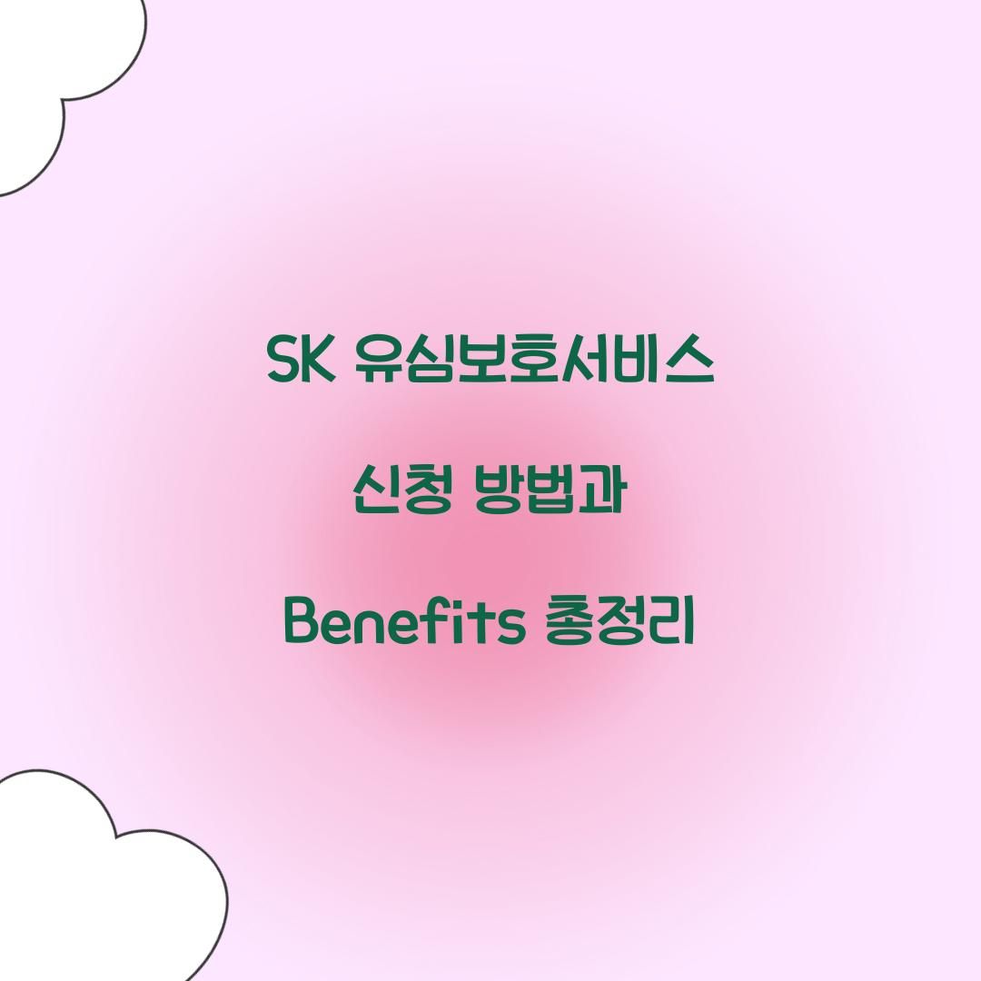 sk 유심보호서비스