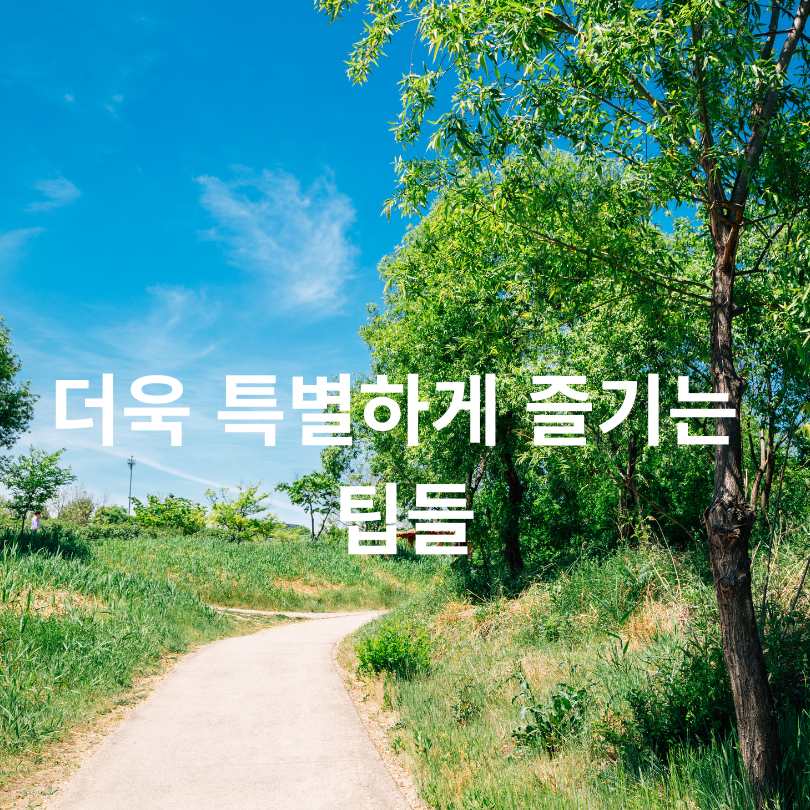 2025 한강 무릉도원 축제 완벽 가이드