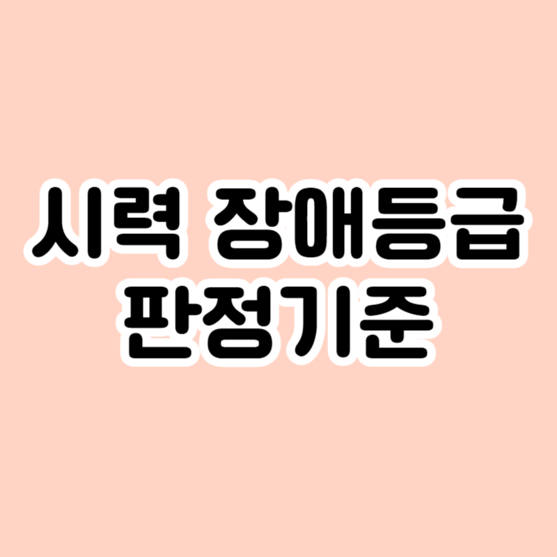 시력 장애등급 판정기준