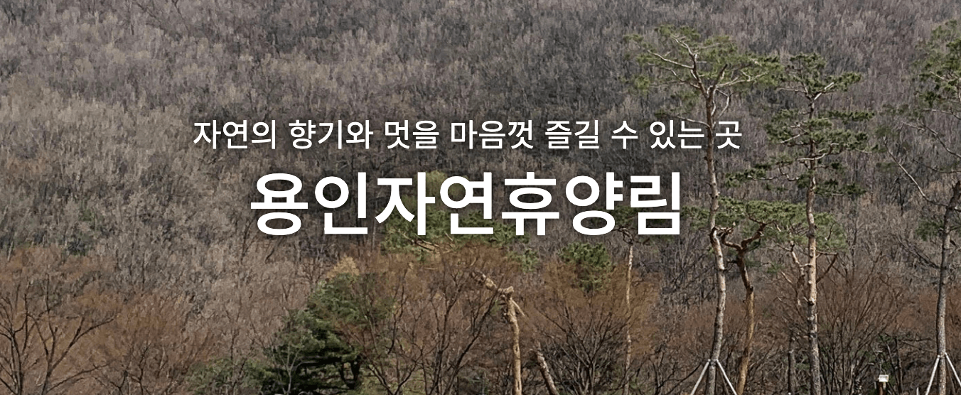 자연휴양림 숲나들e 예약방법, 내가 추천하는 자연휴양림 Best 3