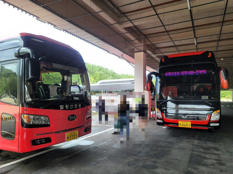 진부역 버스 시간표