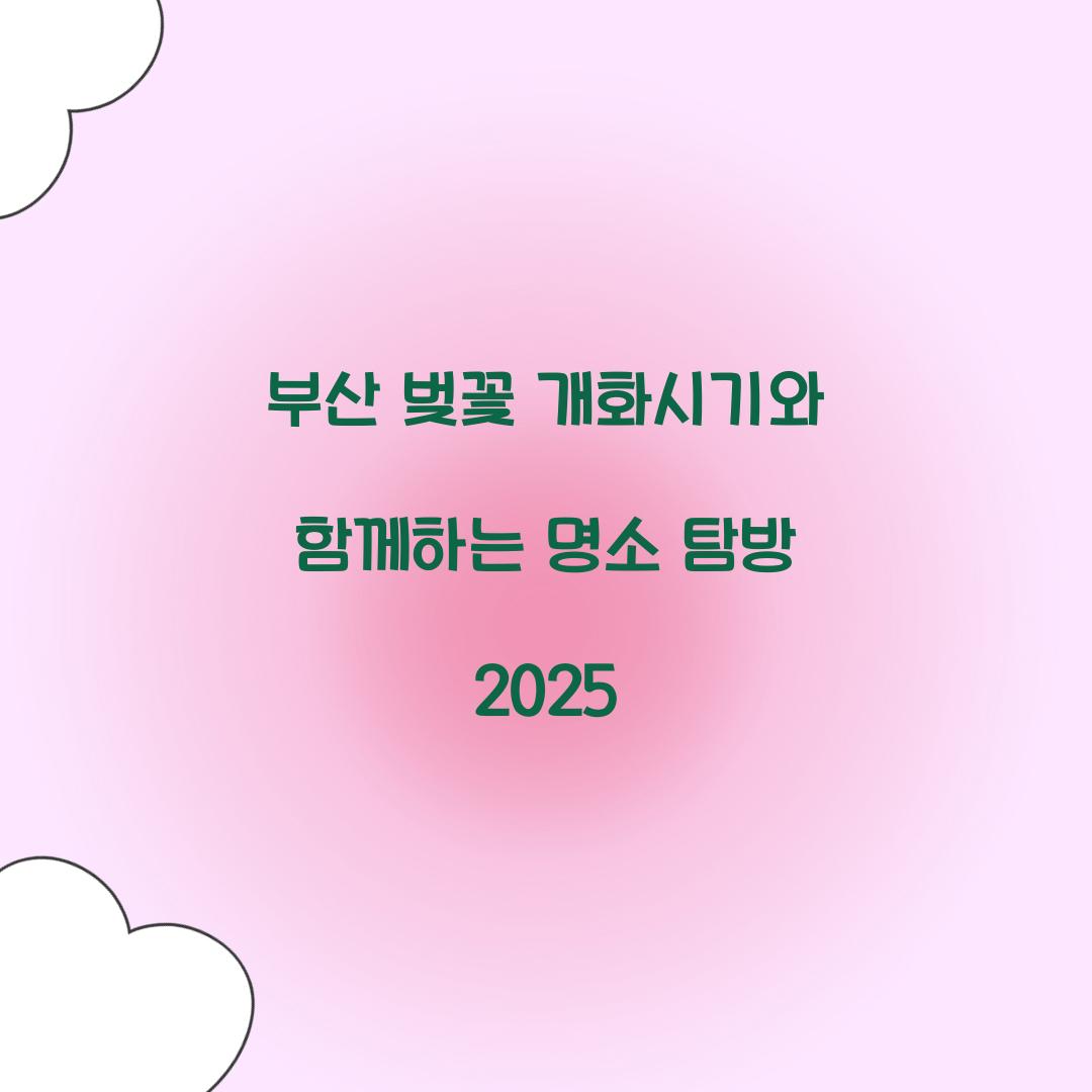 부산 벚꽃 개화시기