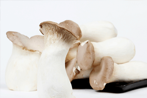 새송이버섯 효능09