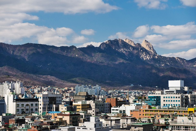 종부세개정