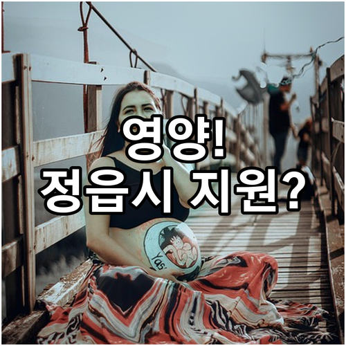 정읍시 2025년 영양 지원, 임산부..