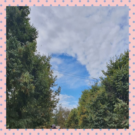 국립변산자연휴양림숲나들이e