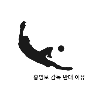 홍명보감독반대이유