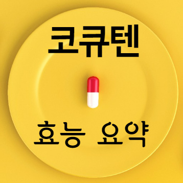 코큐텐 효능 요약