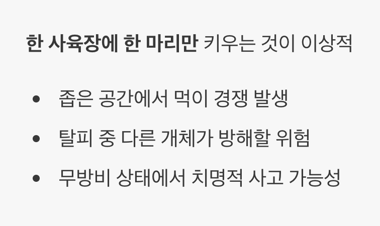 합사? NO! '혼자가 편한' 외로운 식객