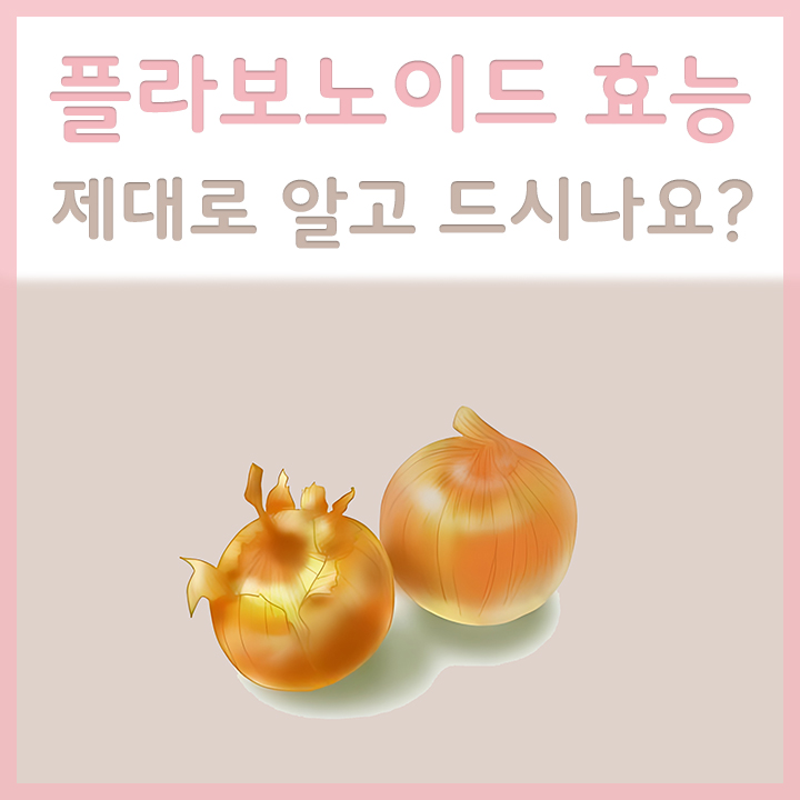 플라보노이드