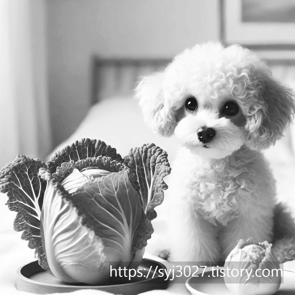 Alt 속성 문제 해결 설명 이미지