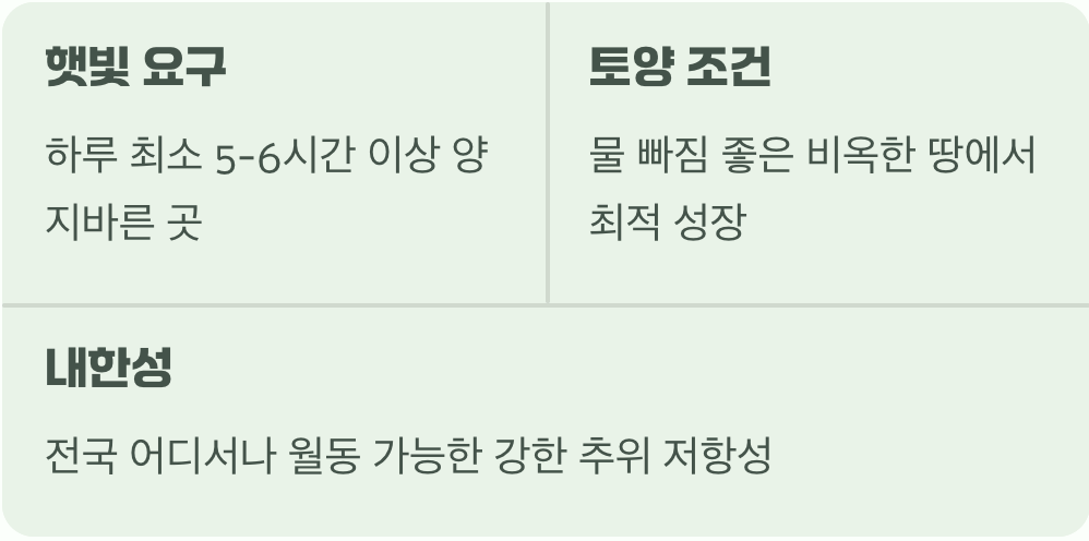 3. 우리 집 명당, 햇빛과 바람 길