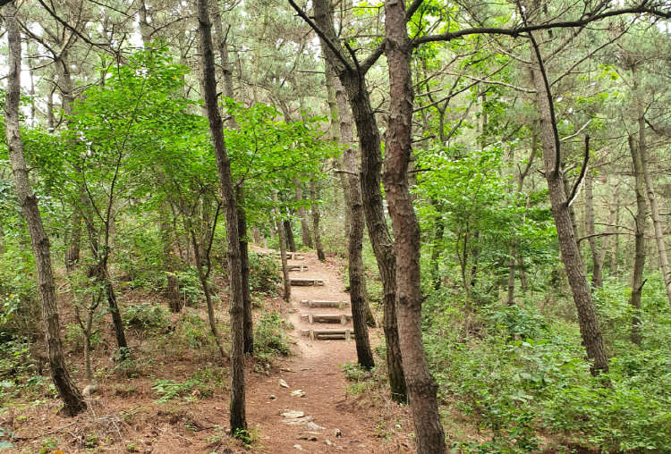 바다향기 수목원