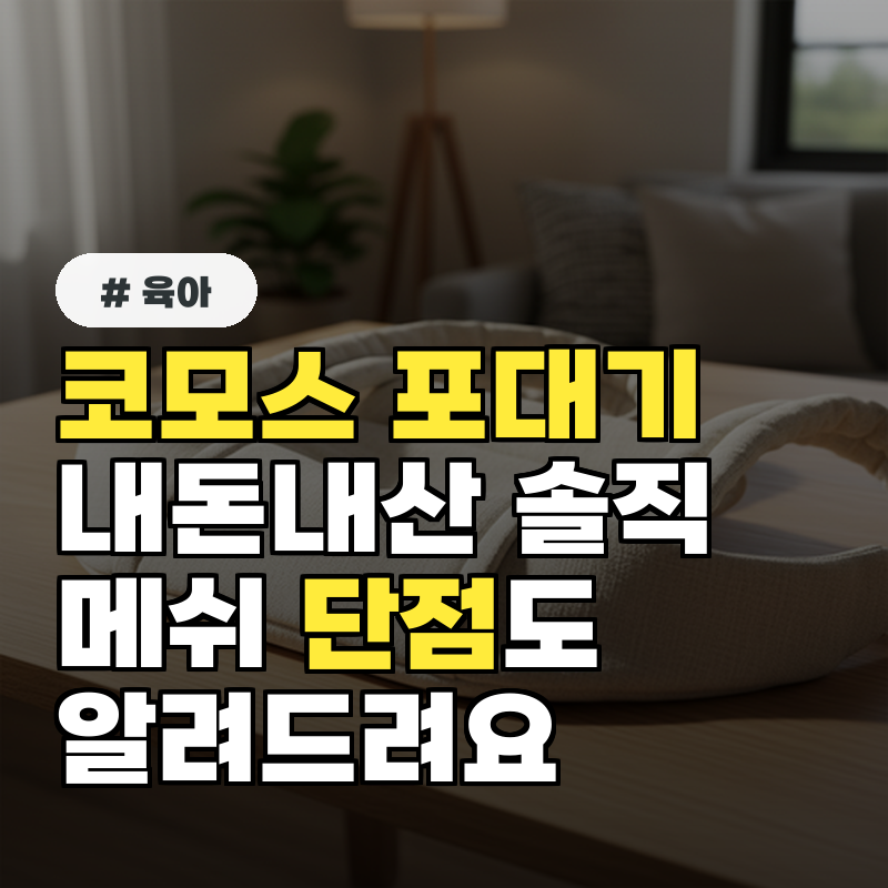 코모스 포대기 내돈내산, 메쉬 단점까지 솔직 리뷰