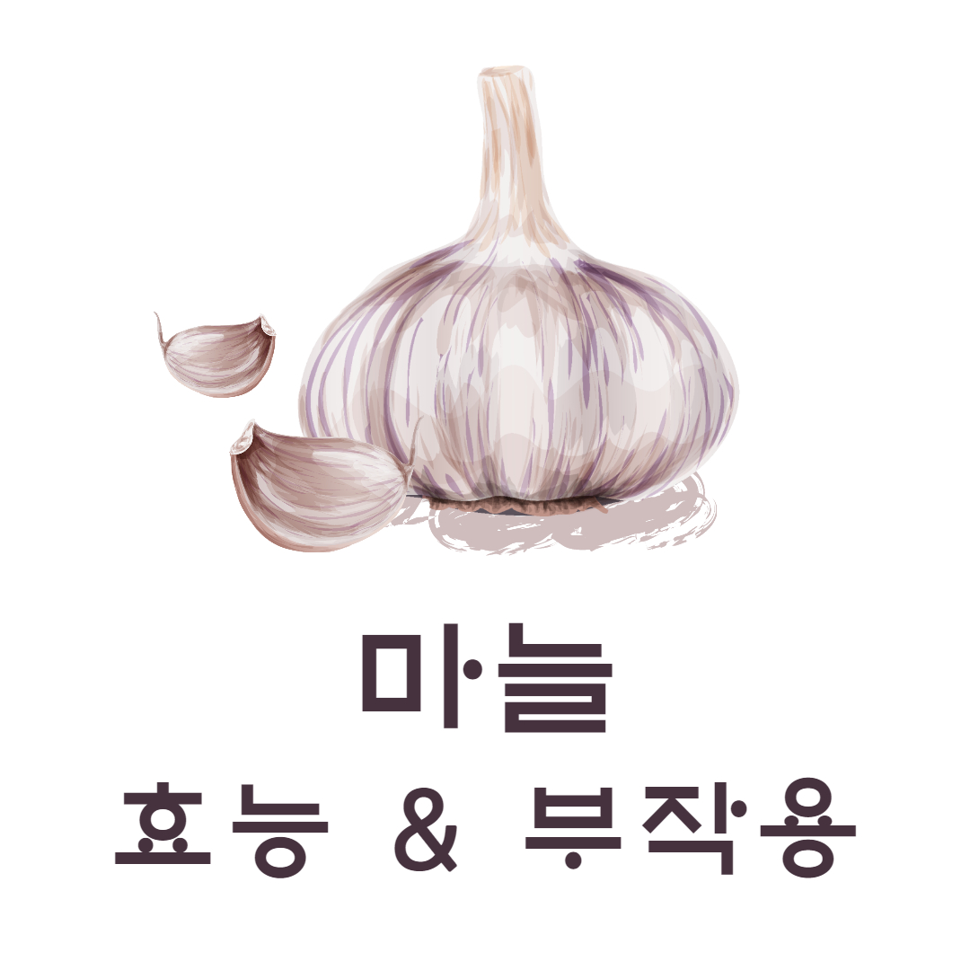 마늘 효능 부작용