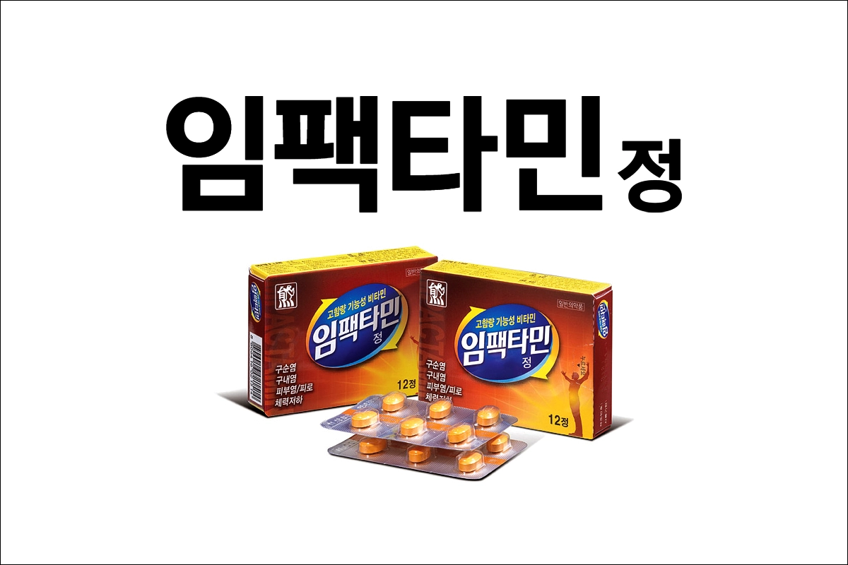 임팩타민정 가격 효능 효과 부작용 비타민 영양제 구내염 피부염 육체피로