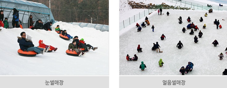 청양알프스마을 축제