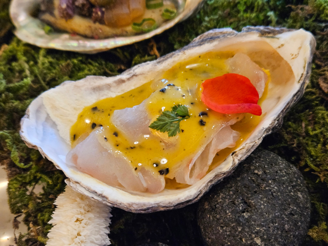 광교 도쿄등심 연어