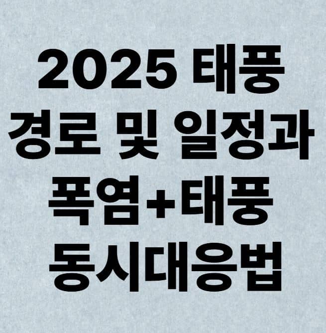 2025 태풍 경로 및 일정과 폭염+태풍 동시대응법