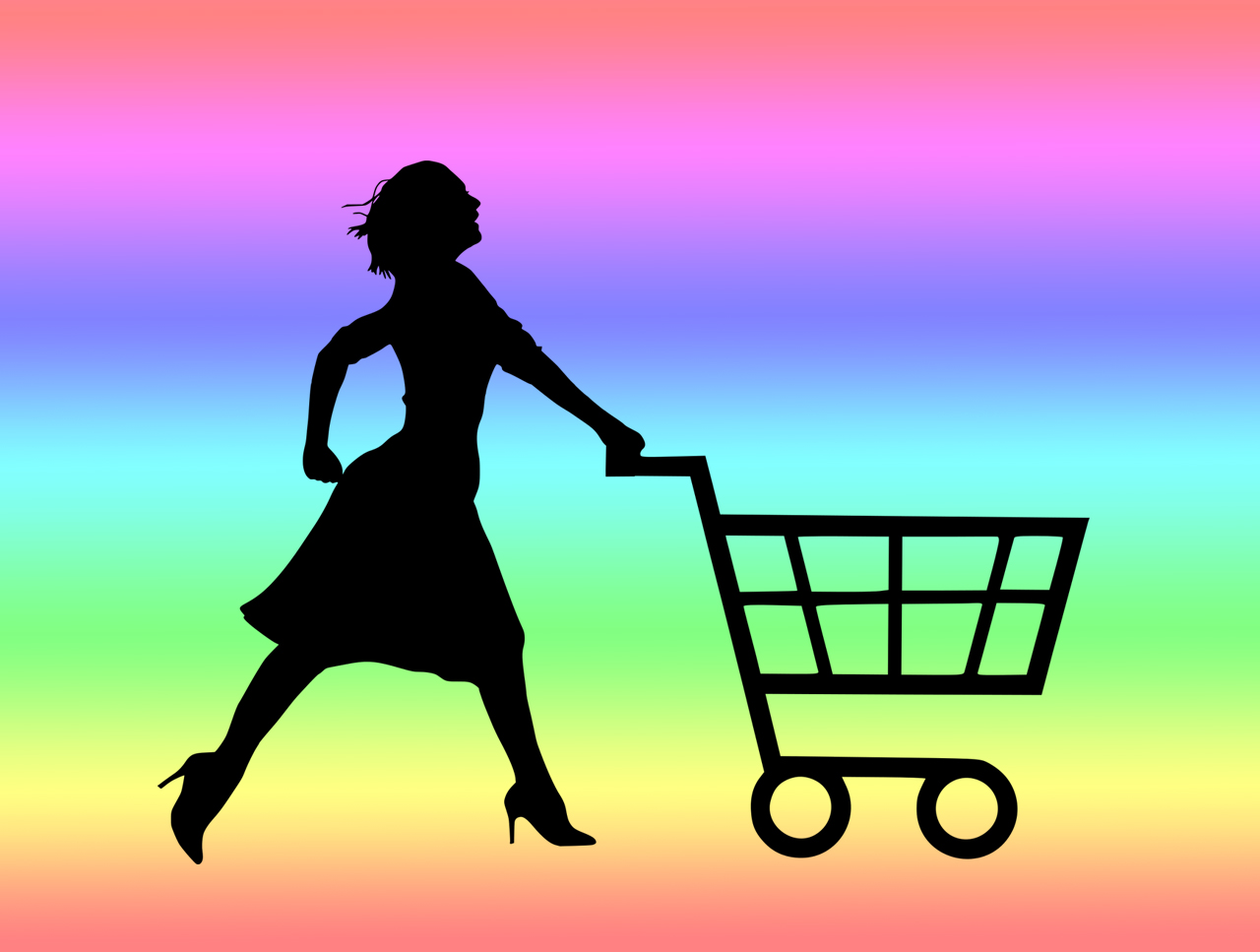 소비자의 득템력