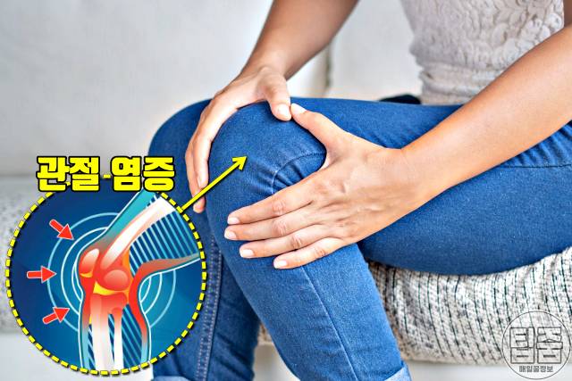 두릅 효능 관절 두릅 생으로 먹어도 되나요 두릅부작용