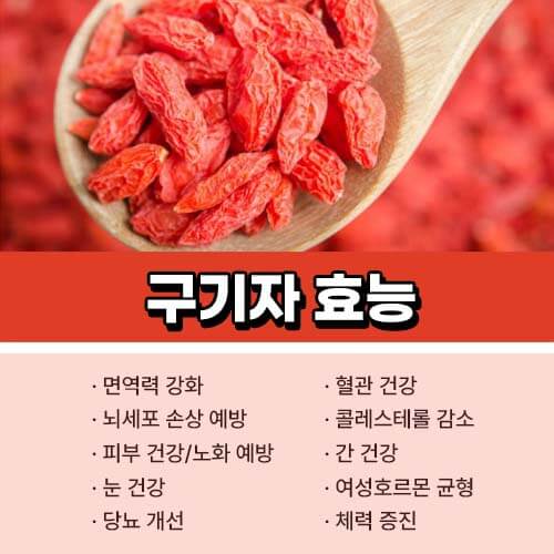구기자 분말 효능