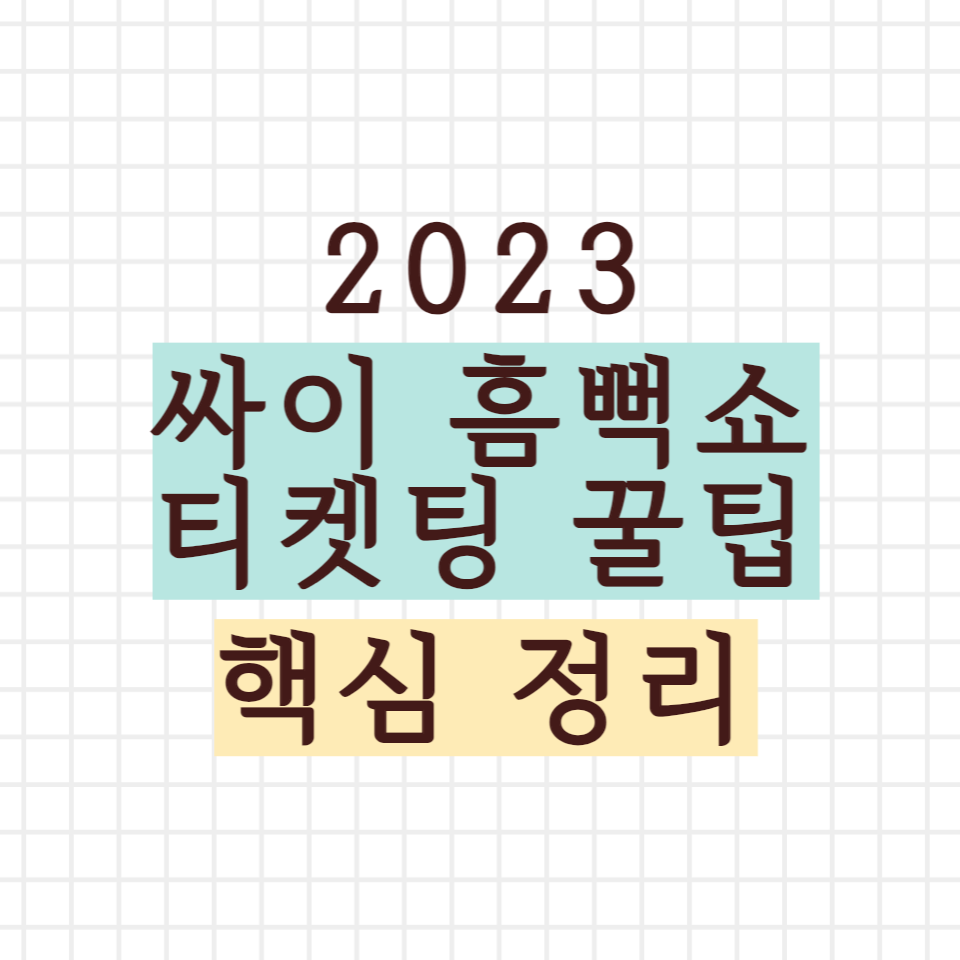 싸이 흠뻑쇼 핵심 정리