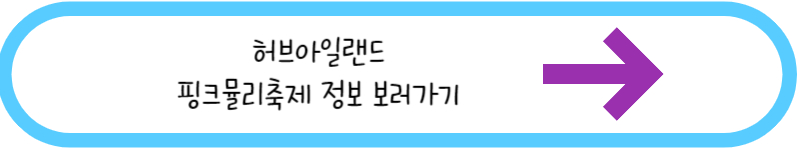 허브아일랜드 핑크뮬리축제 정보 보러가기