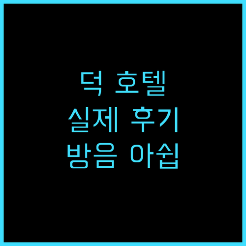 Duck Hotel 실제 후기 카디코..