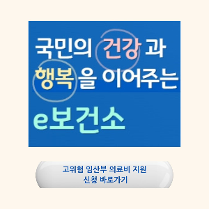 고위험/임산부/의료비/지원