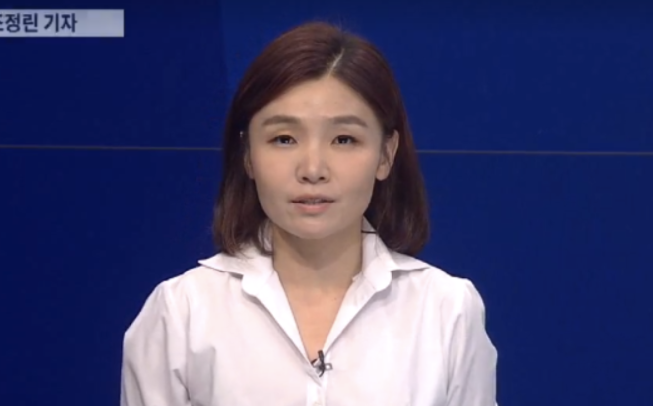 조정린 기자활동