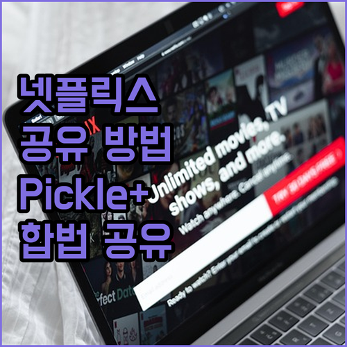 합법 넷플릭스 공유, 왜 Pickle..