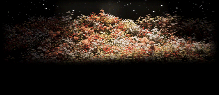 파주 뮤지엄헤이