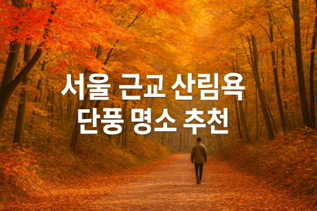 서울 근교 산림욕 단풍 명소 추천 : 가을 향기 따라 걷는 힐링 숲길 여행