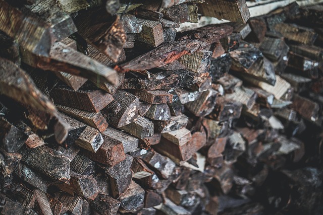 저신용자 대출 5