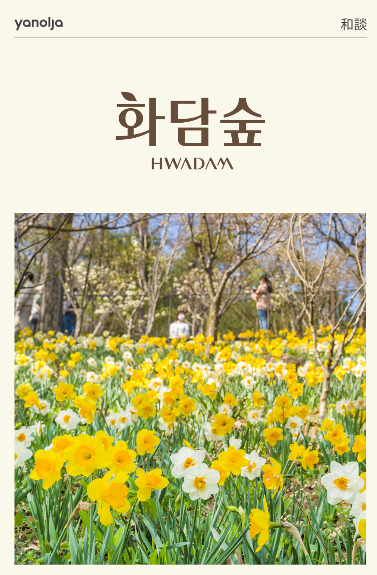 화담숲 예약 취소