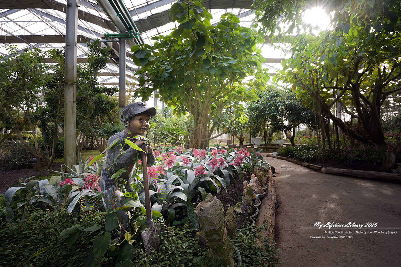 식물원 아산 세계꽃식물원 온실 꽃